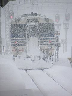 DSCN3434