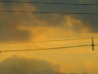 DSCN1551