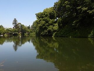 DSCN4495