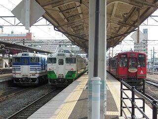 DSCN4175