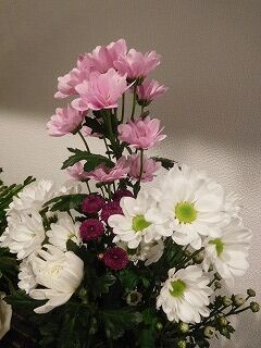 DSCN0306
