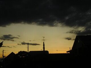 DSCN1589