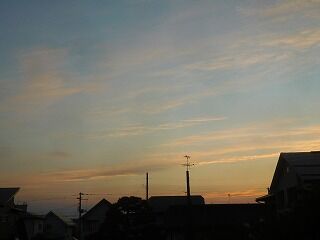 DSCN0935