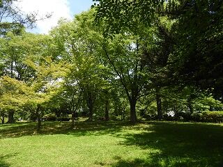 DSCN4370