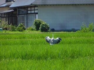 DSCN1329