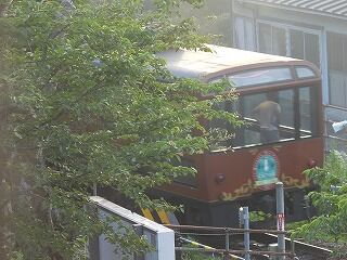 DSCN1549