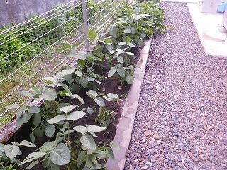 DSCN9573