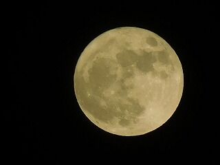 DSCN0787