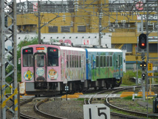 DSCN7990