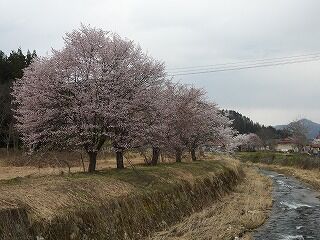 DSCN1210