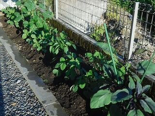 DSCN0933