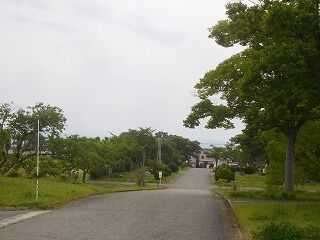 DSCN0952