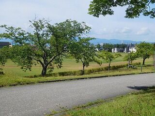 DSCN9790