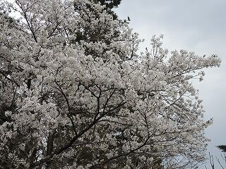 DSCN1208