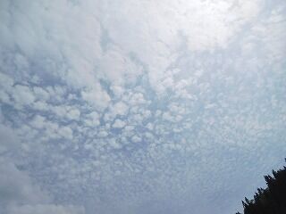 DSCN9158
