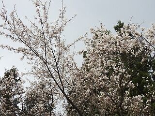 DSCN1207