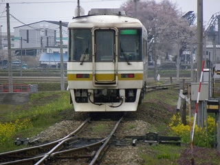 DSCN4433