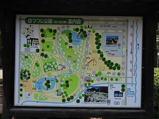 DSCN4362