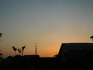 DSCN0591