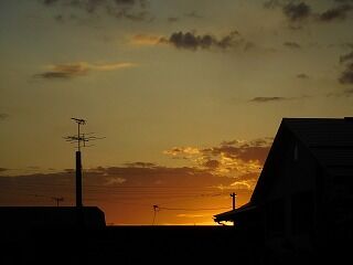 DSCN0547