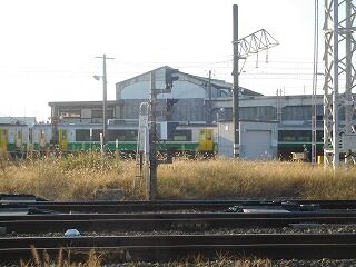 DSCN9951