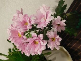 DSCN0474