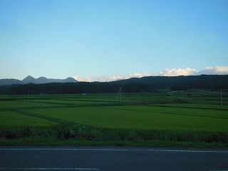 DSCN7388