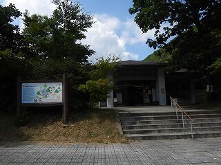 DSCN1638