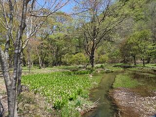 DSCN3918