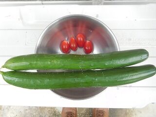 DSCN1490