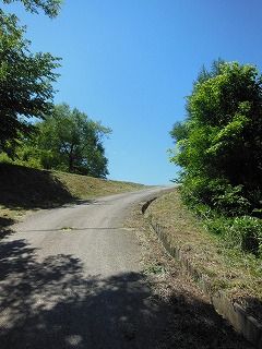 DSCN5640