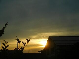 DSCN0795