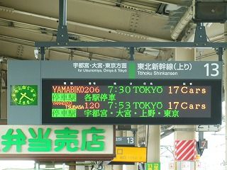 DSCN6481