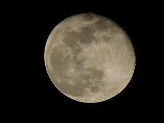 DSCN0075