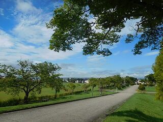 DSCN0139
