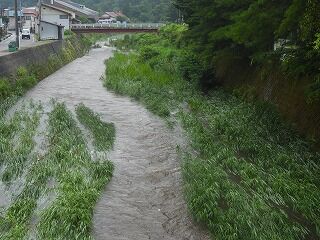 DSCN4620