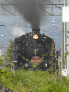 DSCN8043