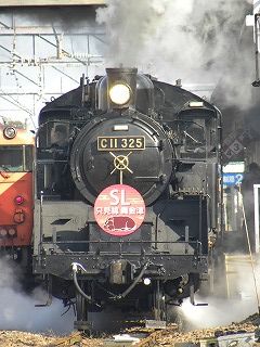 DSCN5280