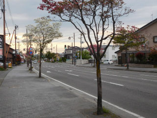 DSCN0332
