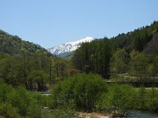 DSCN3919