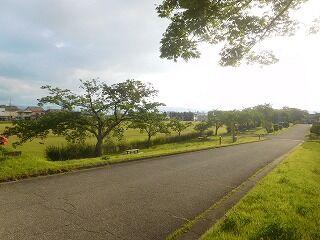 DSCN0864