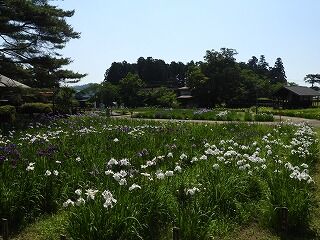 DSCN4410