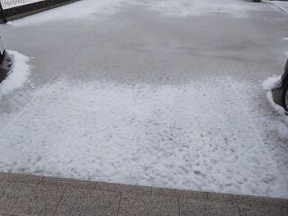 DSCN0772