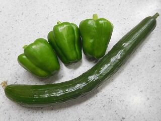 DSCN1341