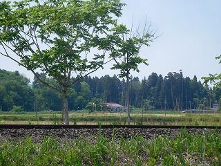 DSCN0557