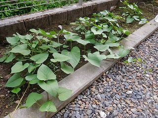 DSCN9305