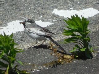 DSCN0854
