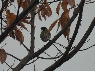 DSCN2671