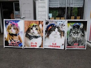 DSCN6458
