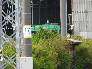 DSCN3981